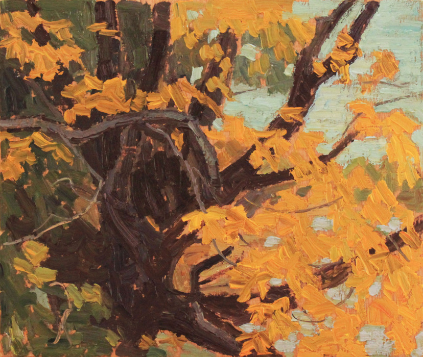 Yellow-Leaves-Earl-Rowe