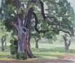 Chestnut-Tree-Swarthmore-Farm