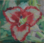 Daylily 2, oil on canvas board, 4" x 4" $80