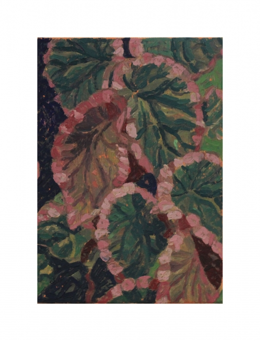 Mountain Orchids Begonias, oil on canvas, 6" x 4" sold