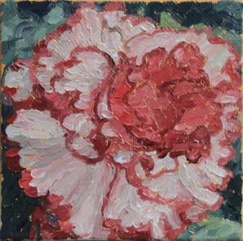 Begonia, oil on canvas, 4" x 4" sold