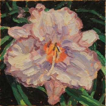 Daylily 2, oil on canvas, 4" x 4" sold