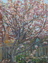 Fred's Magnolia Tree, 9" x 12"
