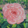 Rose, oil on canvas, 4" x 4" sold