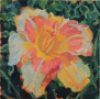 Daylily 3, oil on canvas, 4" x 4" sold