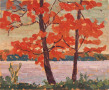Orange Trees, Little Lake Park, 8 x 9.5, oil on wood, sold