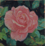 Tiny Rose, oil on canvas board, 4" x 4" sold